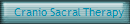 Cranio Sacral Therapy